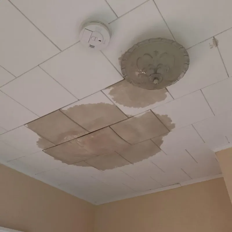 Ceiling Water Damage Repair in New Franklin, MO