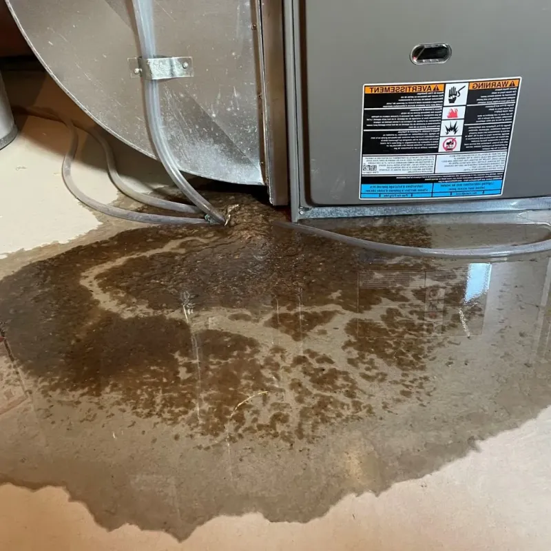 Pipe Burst and Leak Restoration in New Franklin, MO