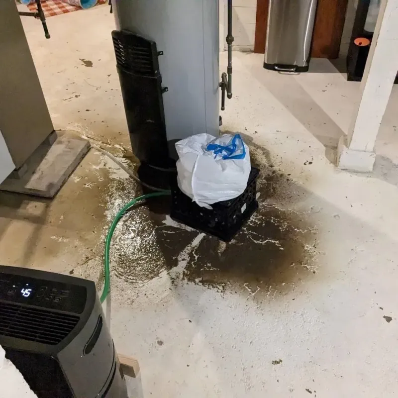 Sewage Backup Cleanup Service in New Franklin, MO
